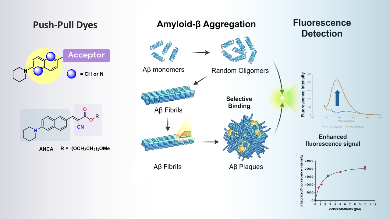 Molecular Probes and Sensing Applications