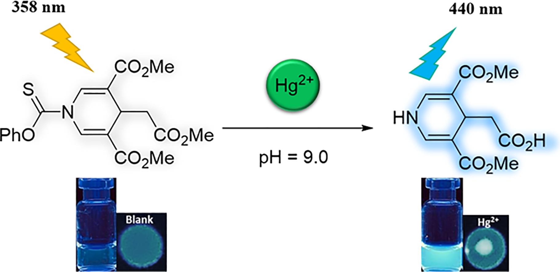 Publication Image